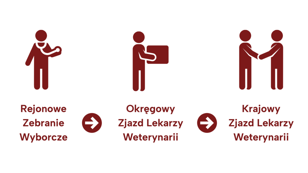 Etapy procesu wyborczego